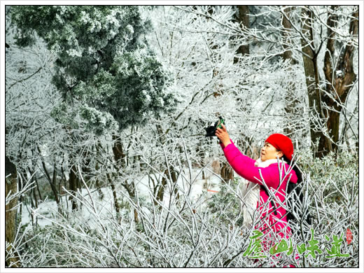 庐山花径雪景图片