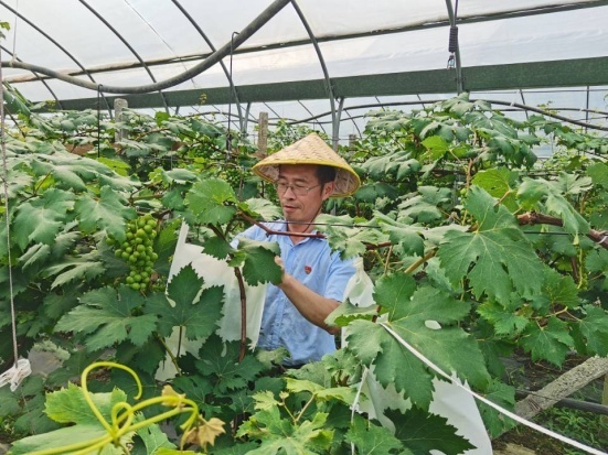 六枝特区第二中学:主题党日活动走进田间地头 感受智慧农业魅力