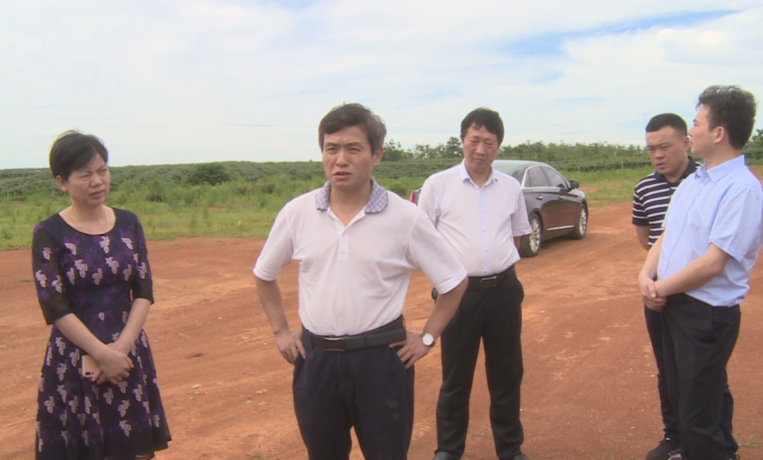 钟益民调研我县农旅产业项目