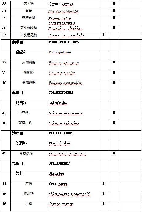 新疆野生动物保护名录图片