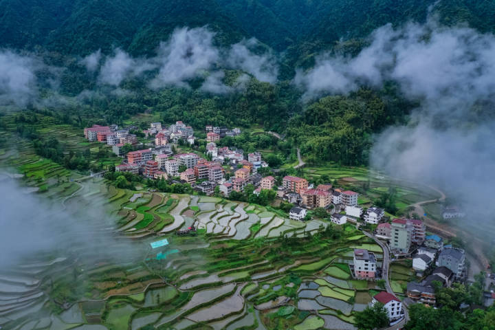 记者蹲点侨乡青田 看小山村里的文明密码