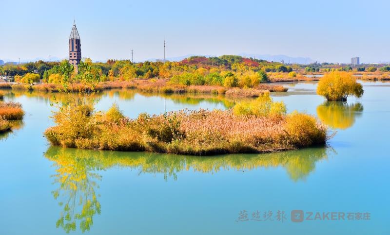 美图|相映成趣的金秋