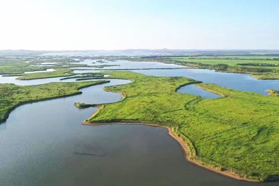 锦州双阳图片