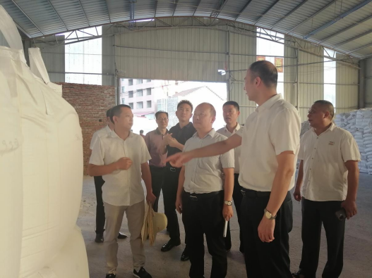 衡阳县人民政府县长孙浩督导调度"利剑"专项行动