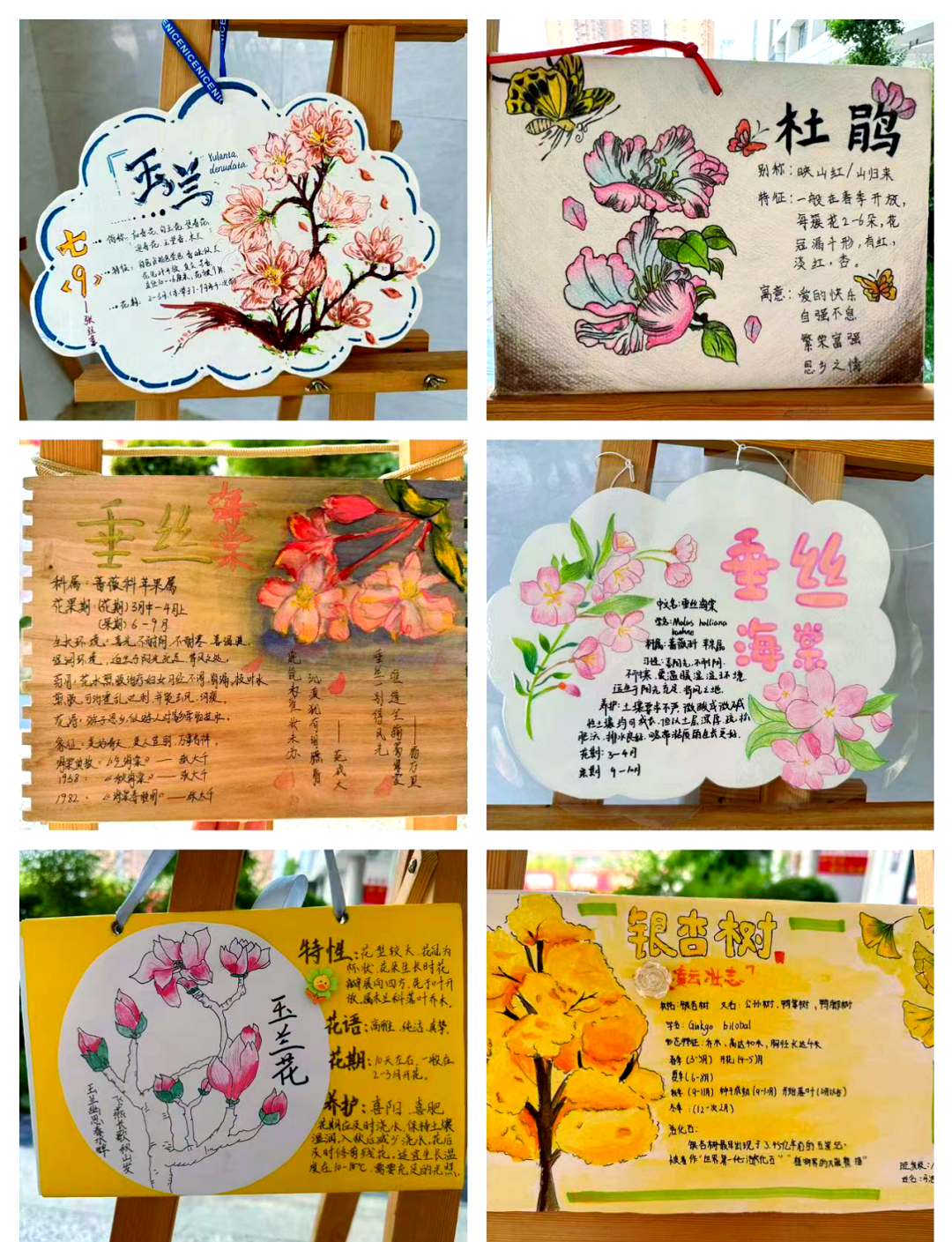 平顶山市一高初中部开展"我为校园树木做名牌"活动,倡导绿色生态理念