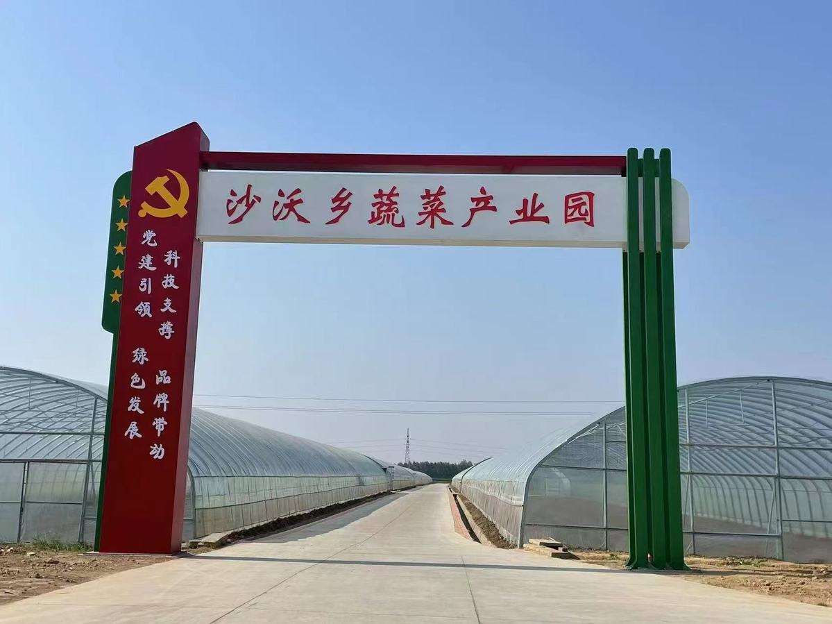 开封杞县沙沃乡:"三聚三促"拓宽蔬菜产业致富路