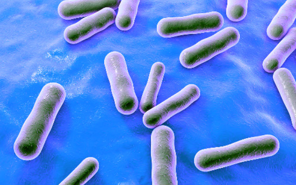 yyds印医生——痘痘篇