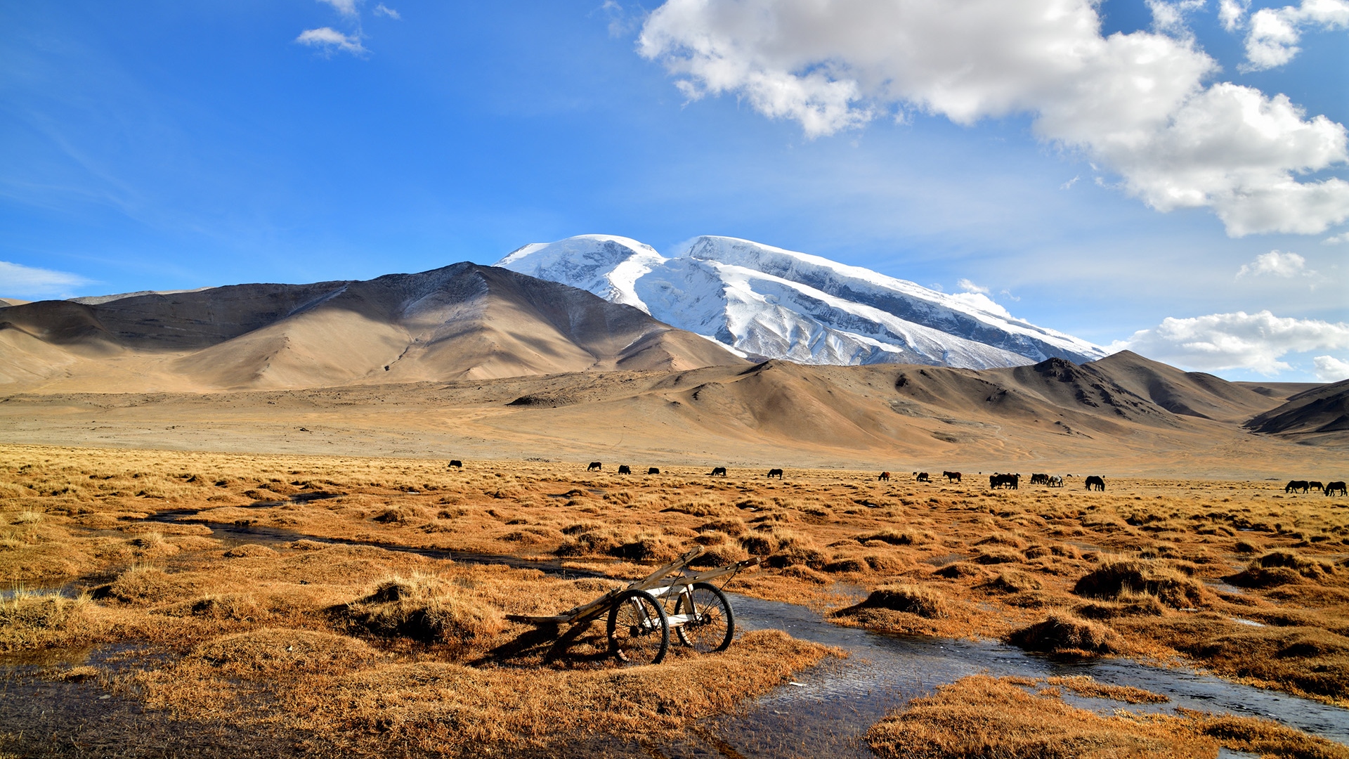 阿拉山口旅游景点介绍
