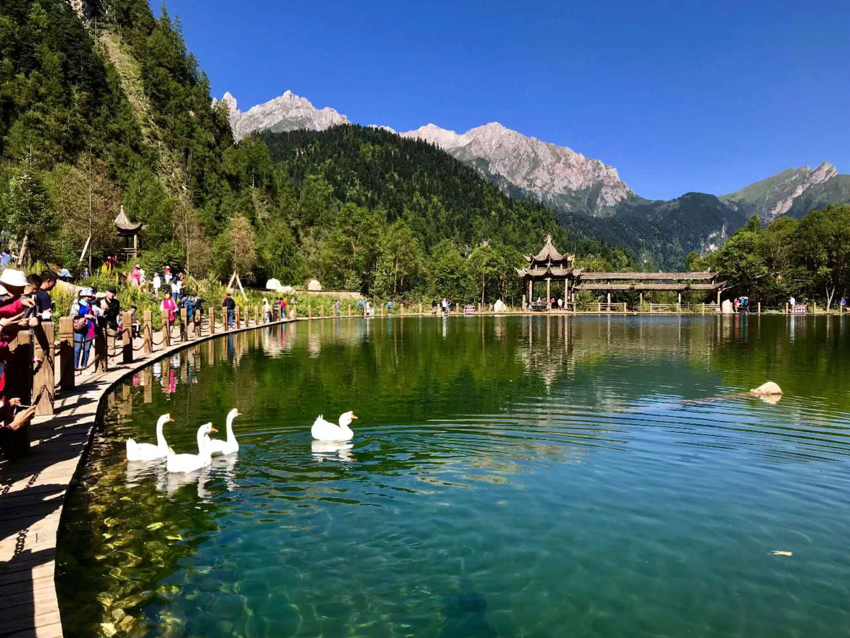 陇南小九寨,风景秀丽鹅嫚沟