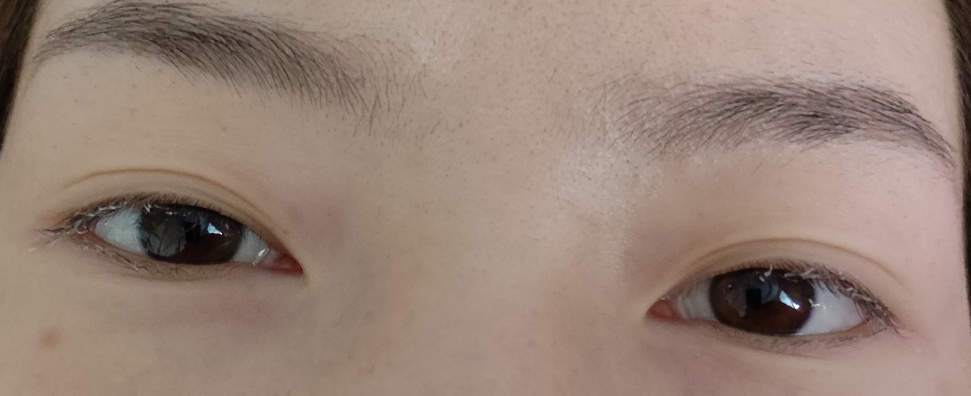 兰瑟睫毛膏纤长浓密卷翘根根分明防水女双头滋养官方旗舰店正品