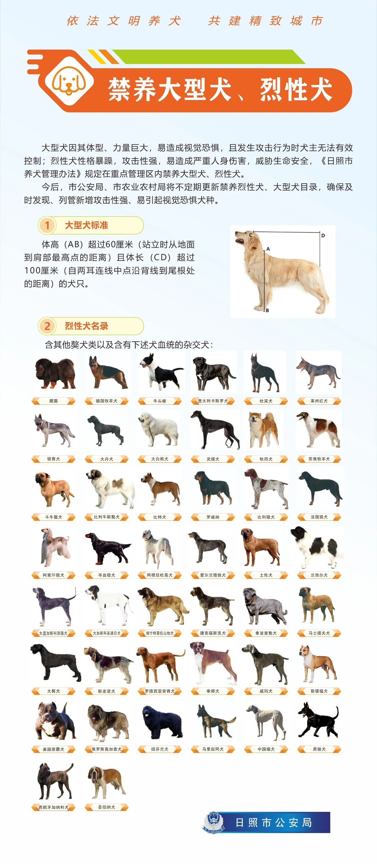 中国烈性犬禁养令图片