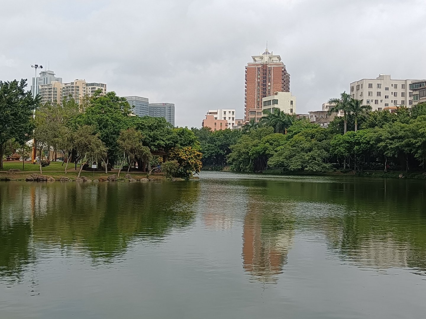 广东:林木葱葱,湖光悠悠,湛江霞湖公园的美丽清晨