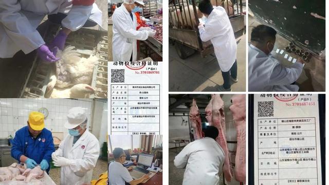 烟台市畜禽屠宰企业检疫申报点全部实现无纸化出具动物产品检疫证明