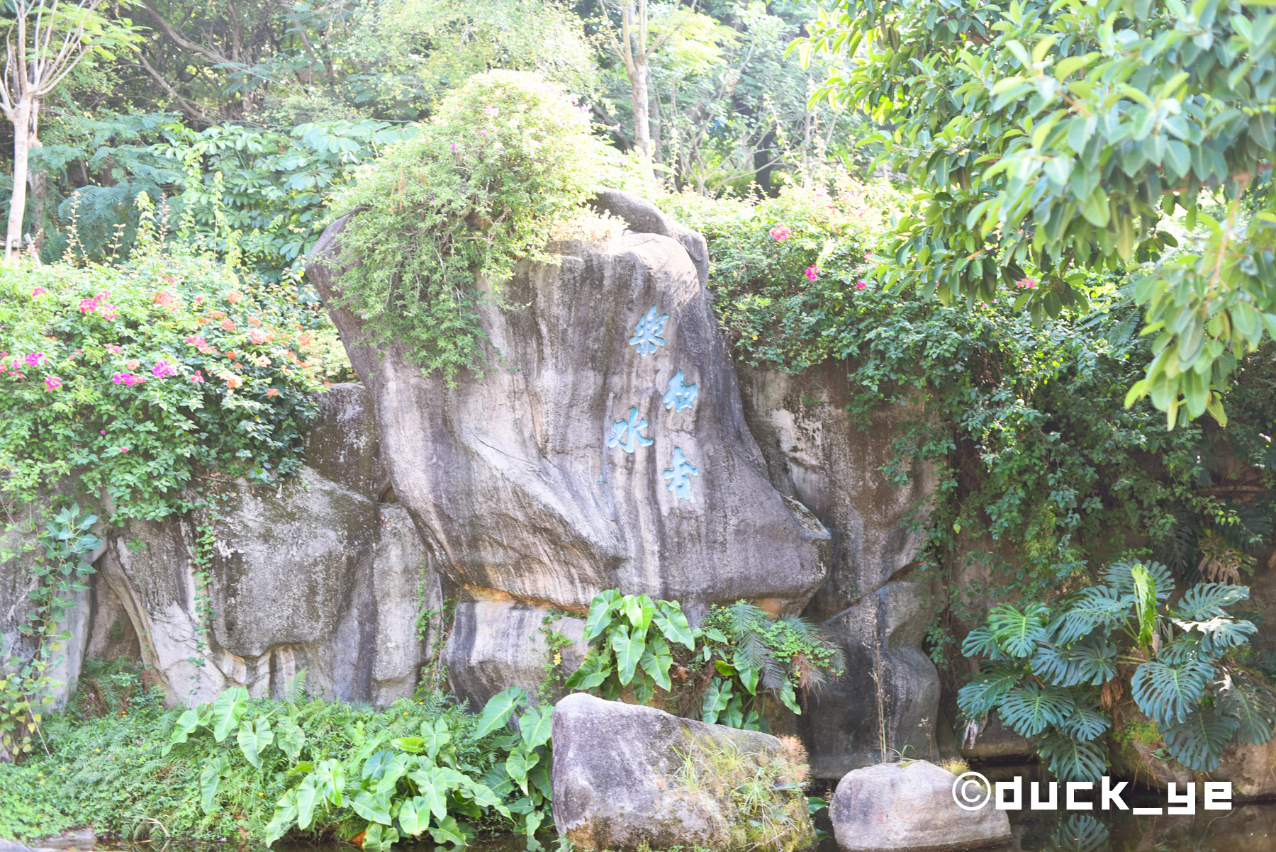 廈門春節去哪玩?萬石植物園免票開放,親子游好去處!