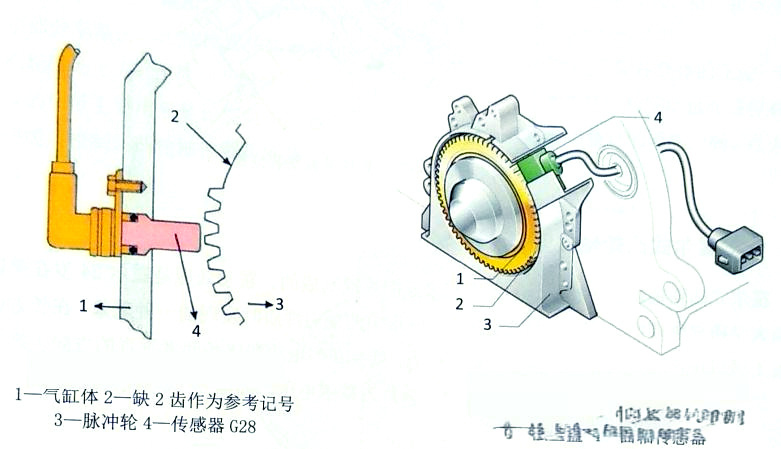 转速传感器采用感应式设计,用于精确获取发动机的转速和曲轴位置信息