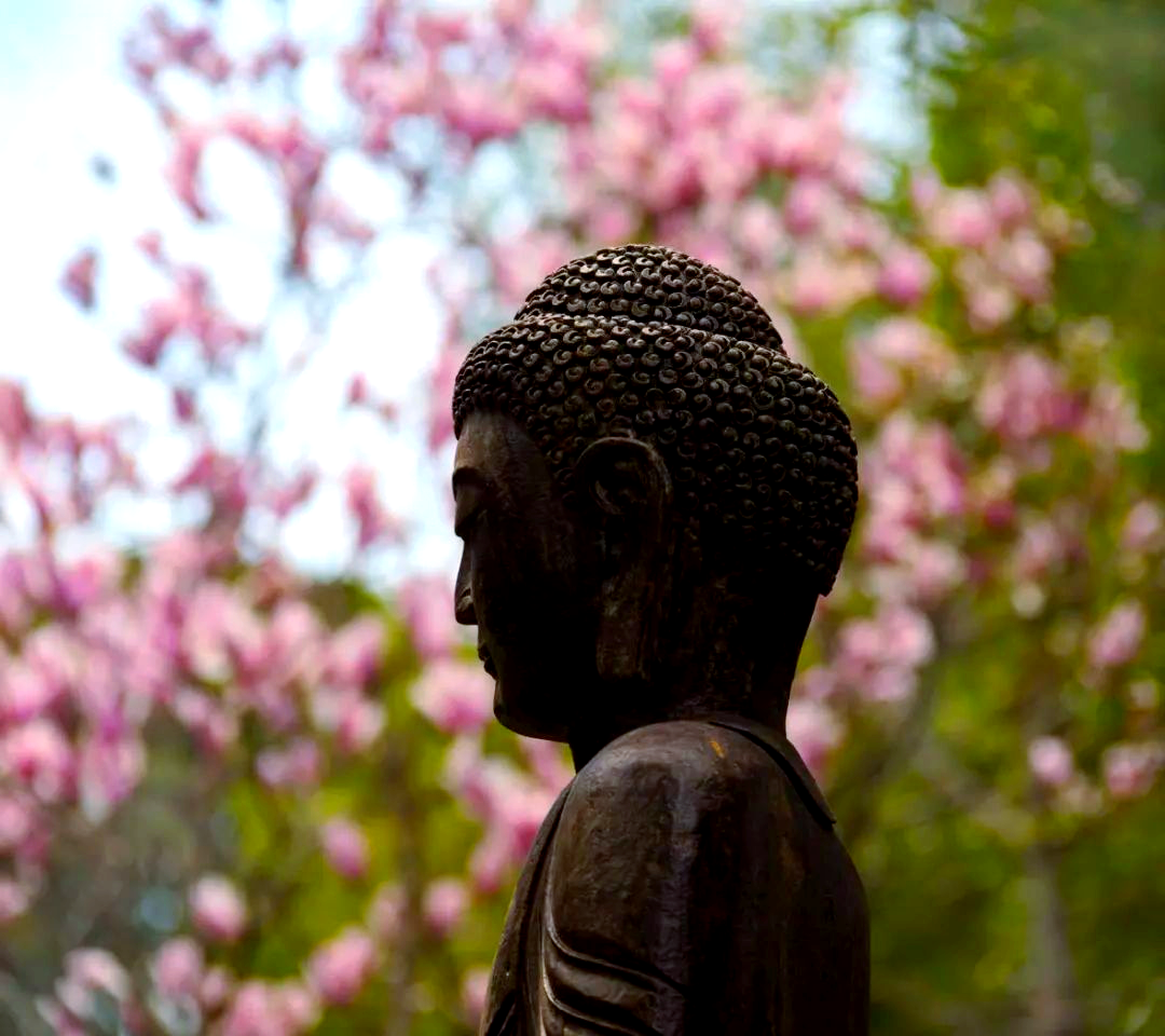 宁静之旅:万佛寺的四季之美