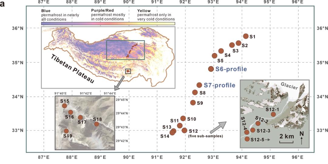 环境科学与工程系王梓萌团队在青藏高原冻土中发现大量"冬眠"的卤代有
