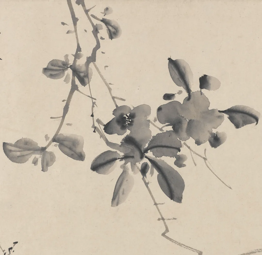 欣赏徐渭的十二墨花图,感受其艺术魅力