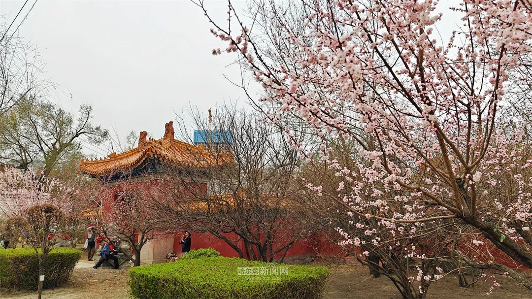 哈尔滨市花卉批发地址