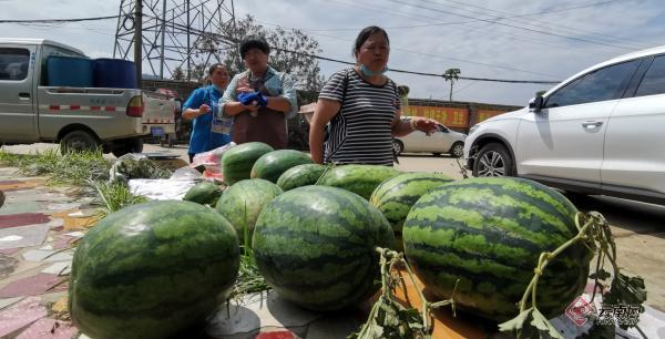 云南镇康忙丙乡帮海西瓜热销