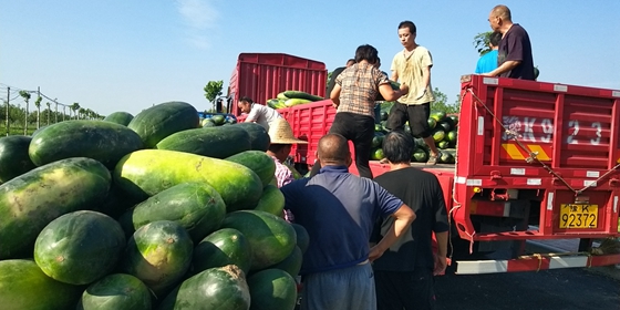 河南许昌:脱贫村村民爱心献灾区
