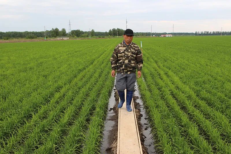 种粮大户张景会的幸福生活
