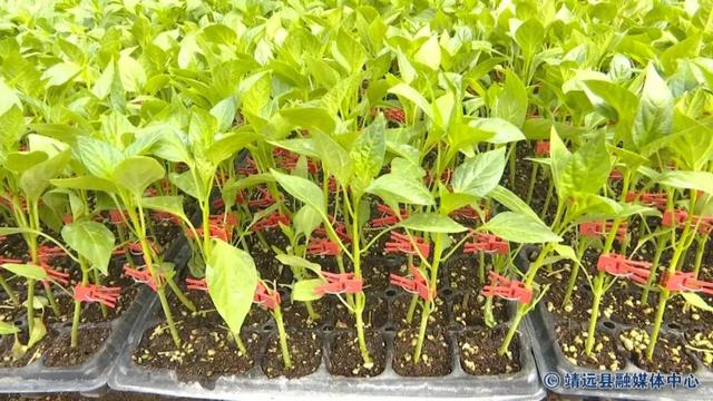 坚持两手抓 夺取双胜利