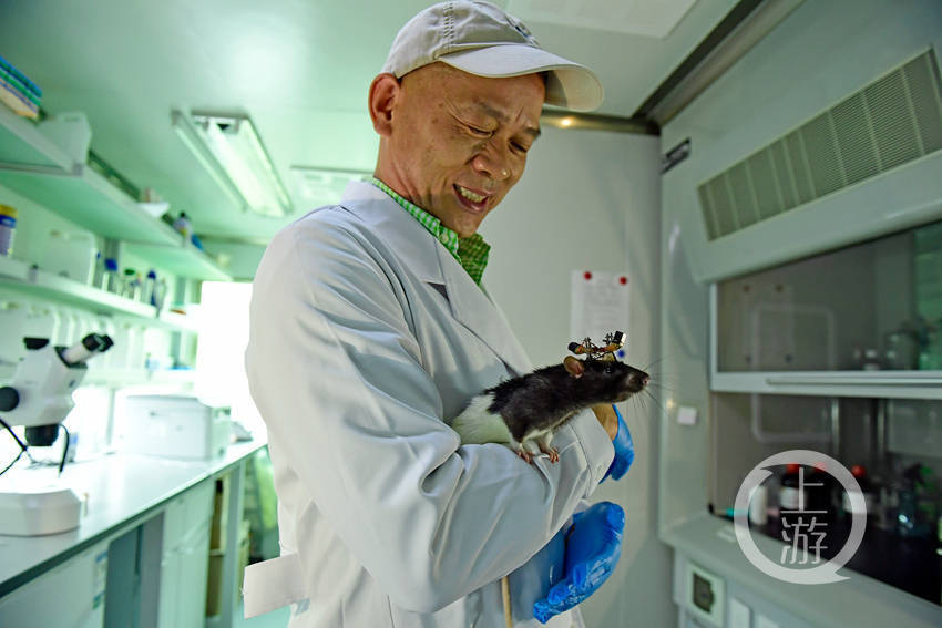 脑机结合 首次发现大脑里不为人知的"指南针"