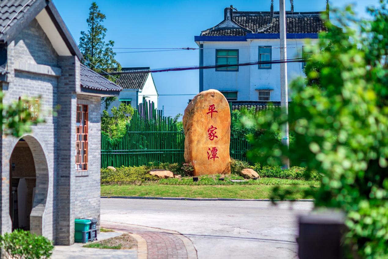 "三化一体" 平湖市新仓镇美丽城镇创建进行时