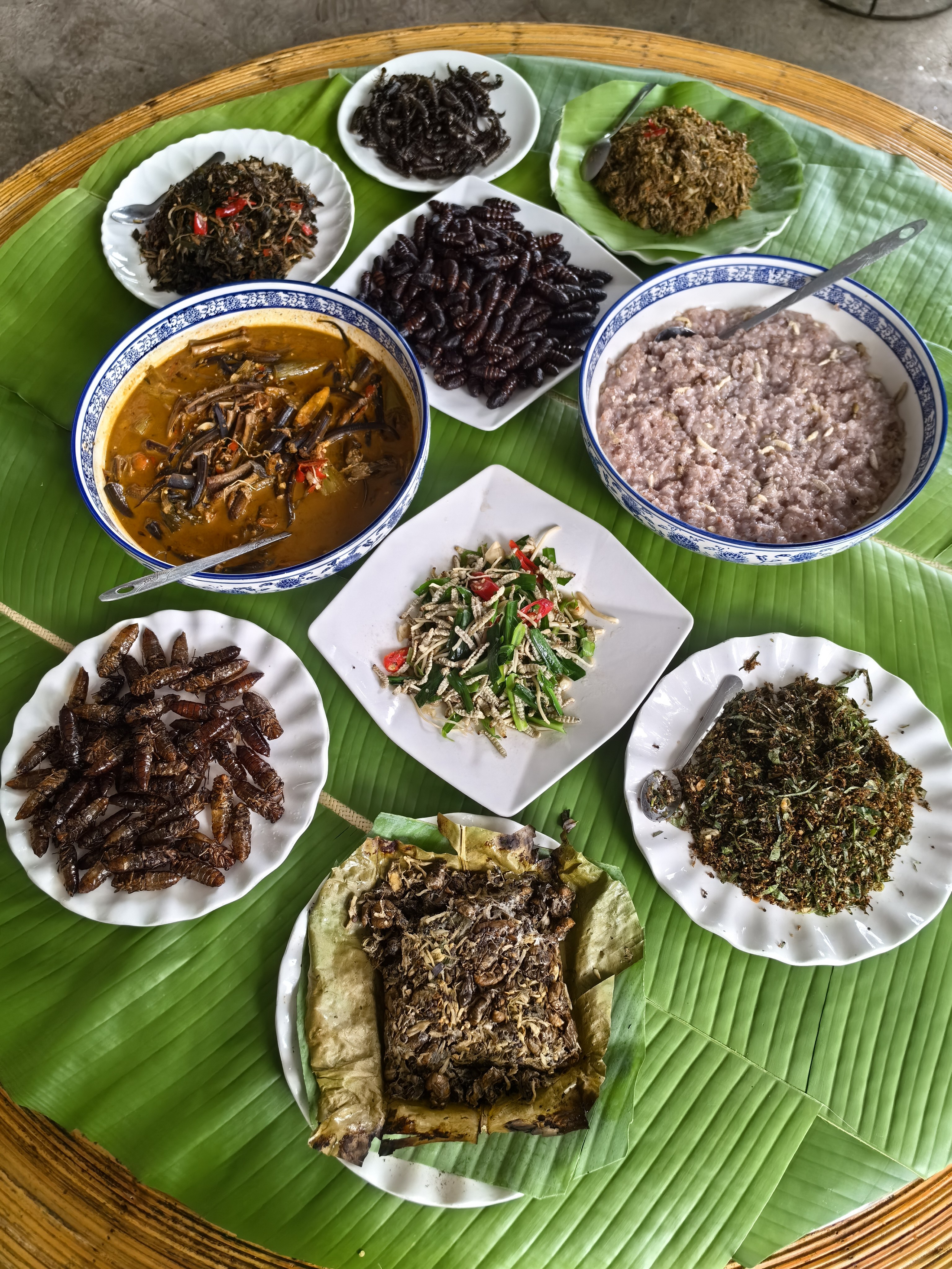 探秘云南虫宴!赴一场味蕾的奇妙"探险"