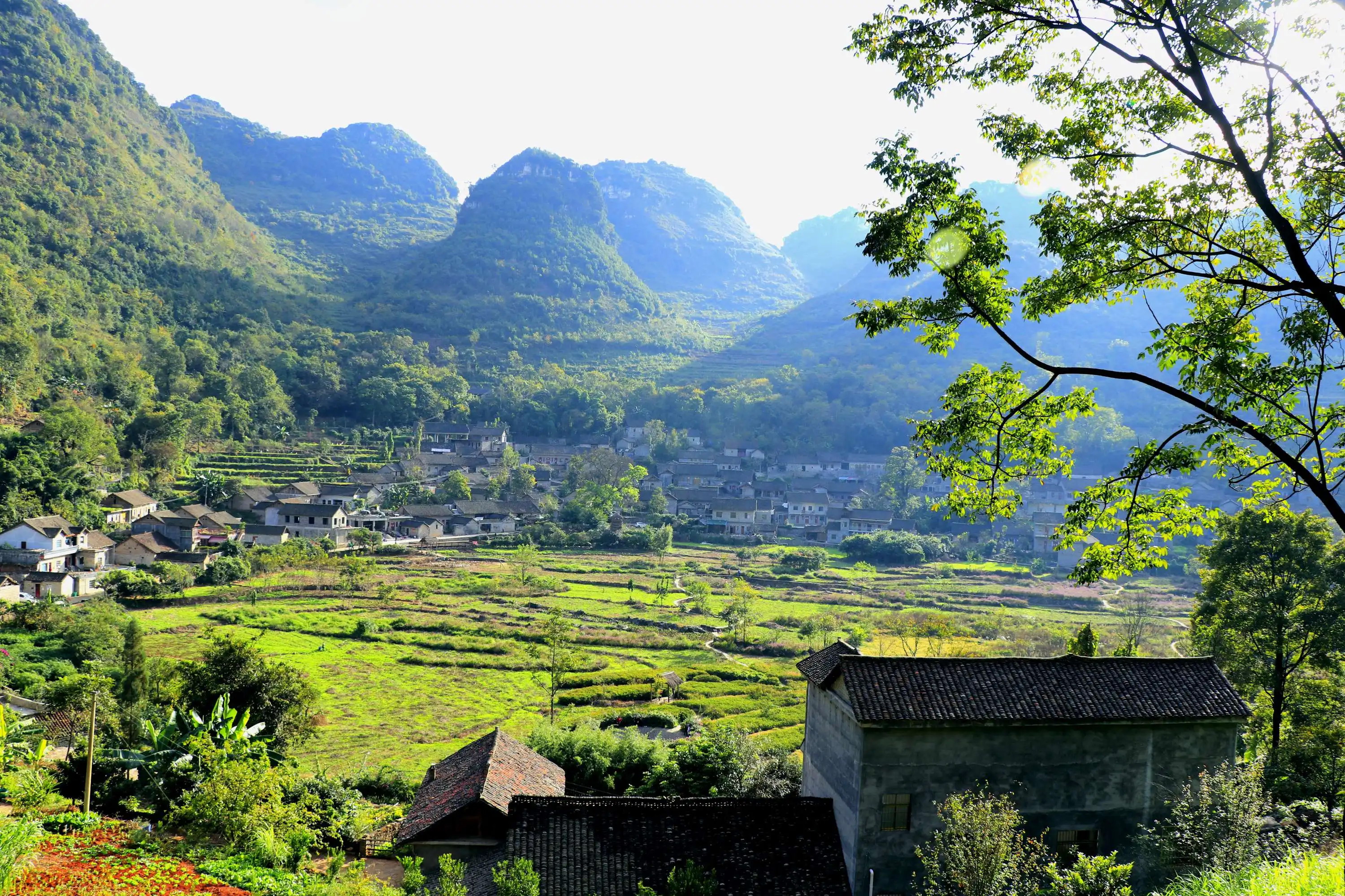 雨布鲁天坑里的世外桃源