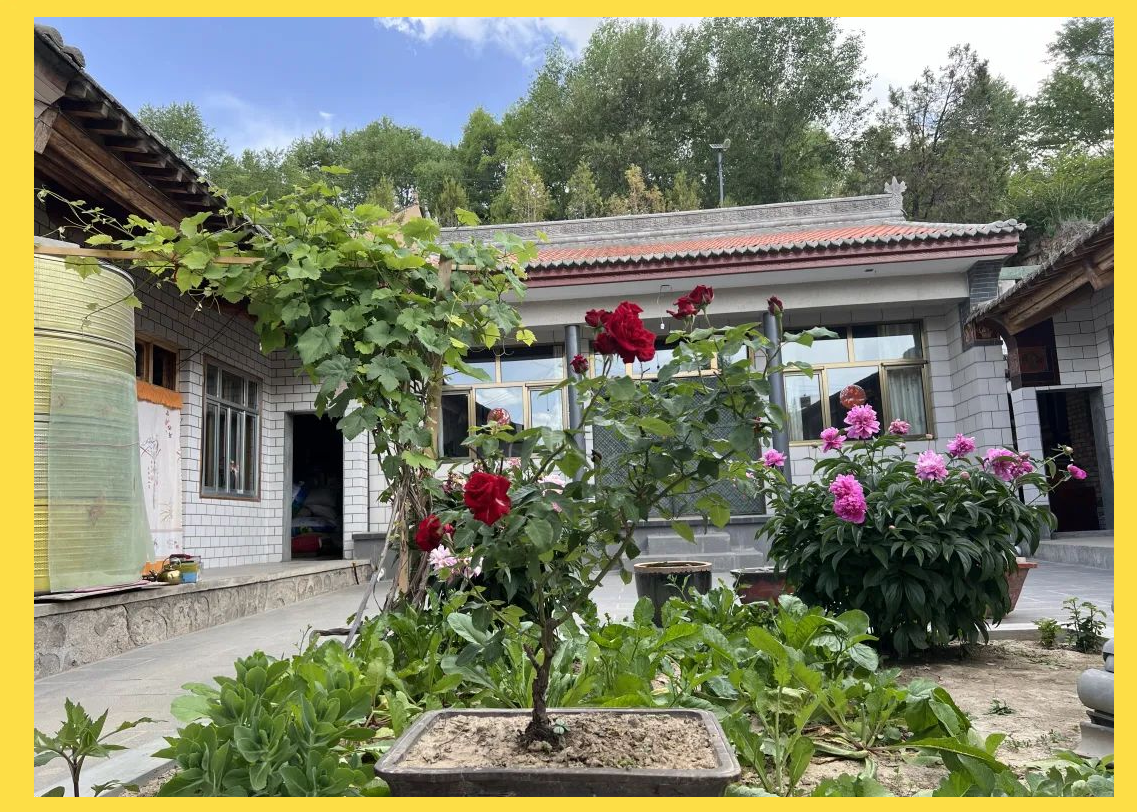 陇阳镇"美丽庭院"示范户风采展播,展现乡村新颜值