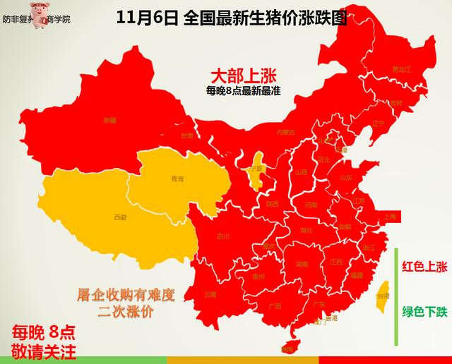 11月6日全国最新生猪报价,全国上涨,屠企收购难度加大