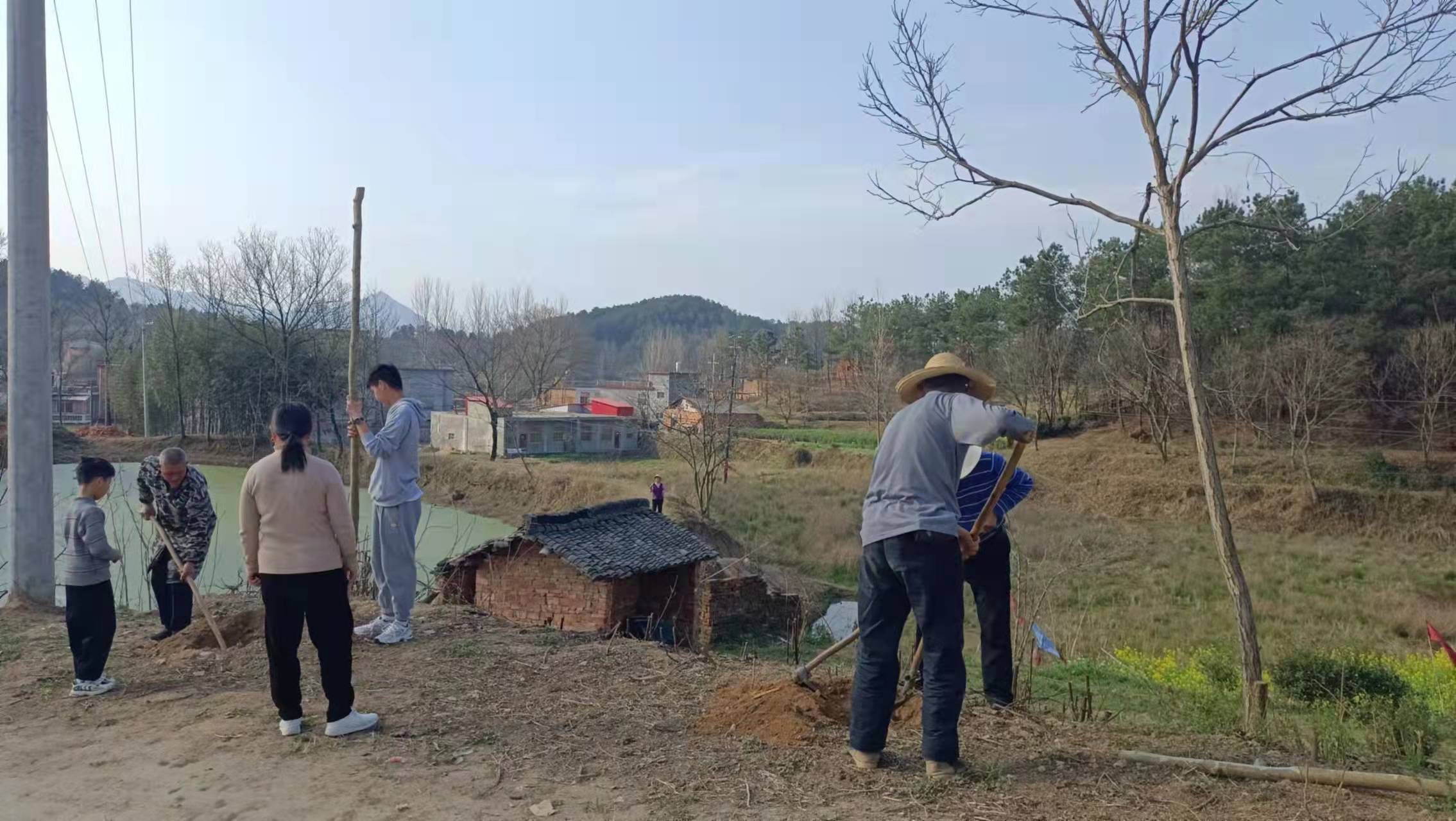 商城县汪岗镇:春来勤植树 绿荫惠千年