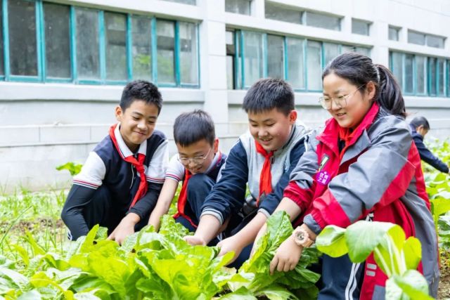 校園金秋季 文明碩果香丨浙師大附屬富春實驗學校第二屆校園採摘節