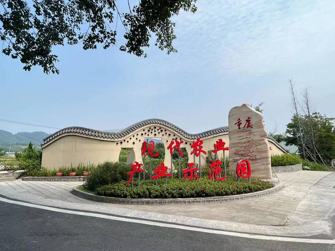 内江隆昌市市长任伟:积极融入跨区域文旅大市场,将"文旅流量"转化为"