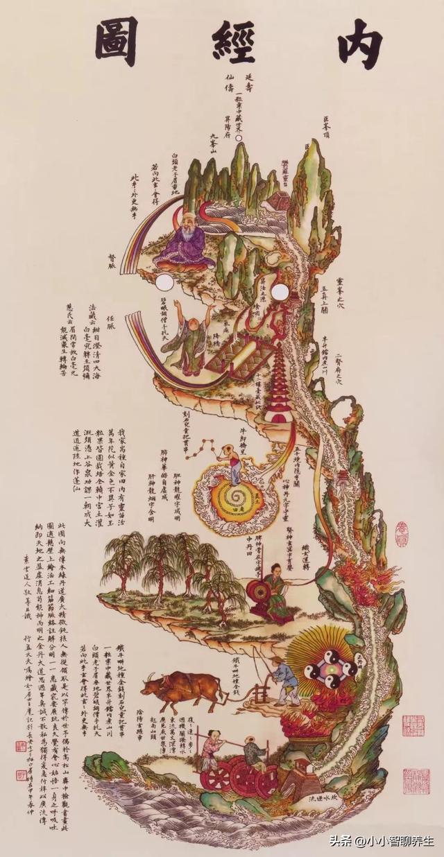 气功与养生(我们人体七岁之前的松果体,到底有多发达?