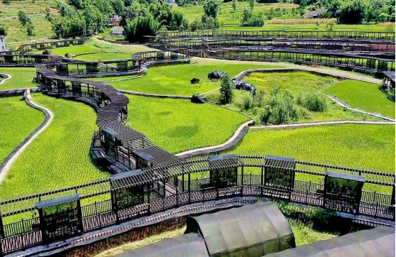 鸟瞰|赤水市长期镇坝上田园综合体