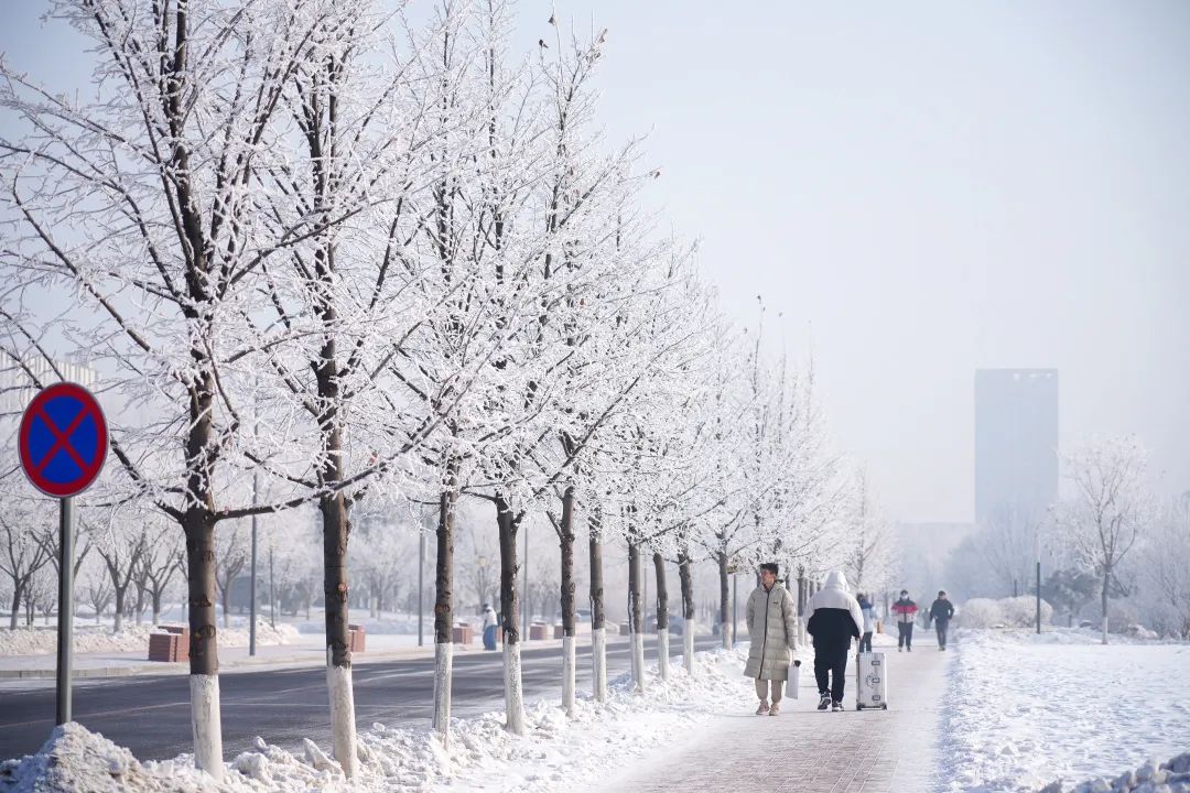 东北农业大学雪景图片