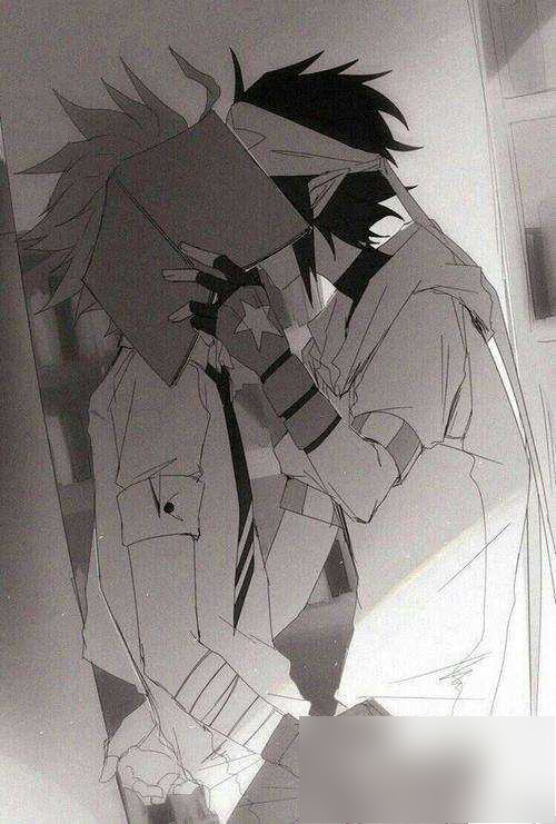 求一些凹凸世界雷安的图?