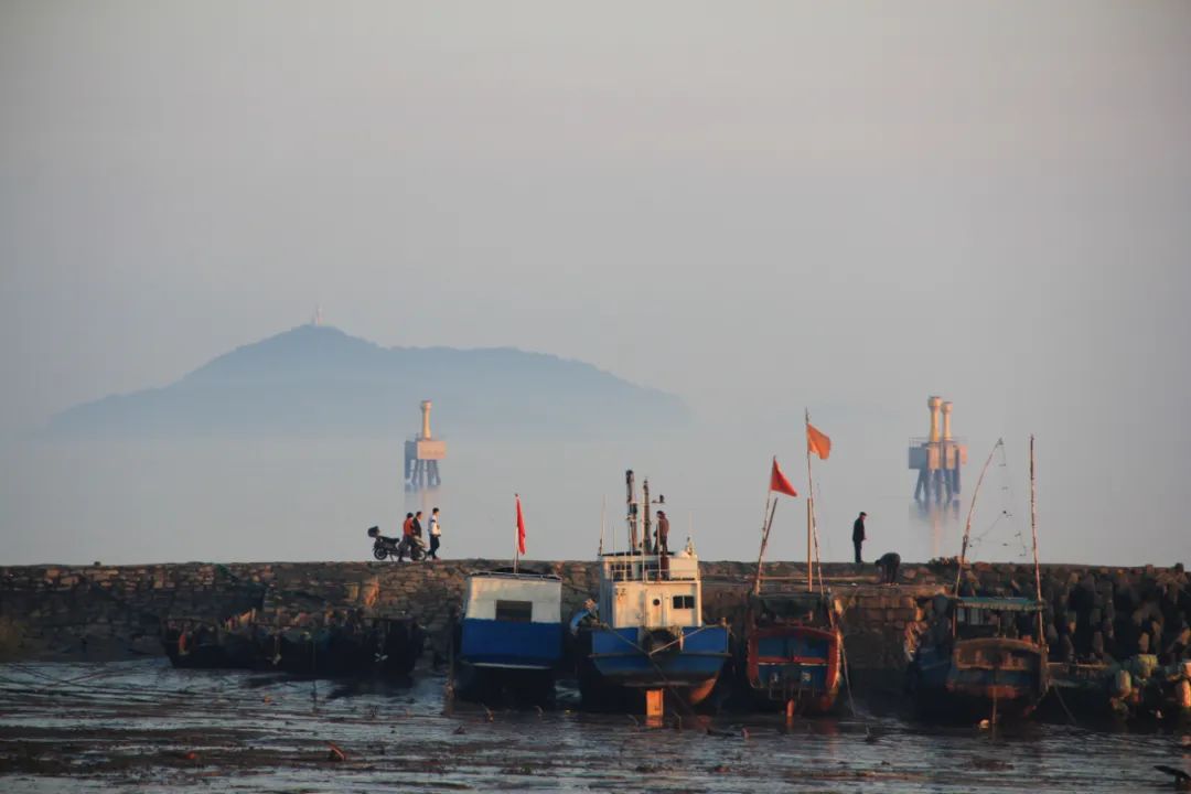 上海市金山区大金山岛图片