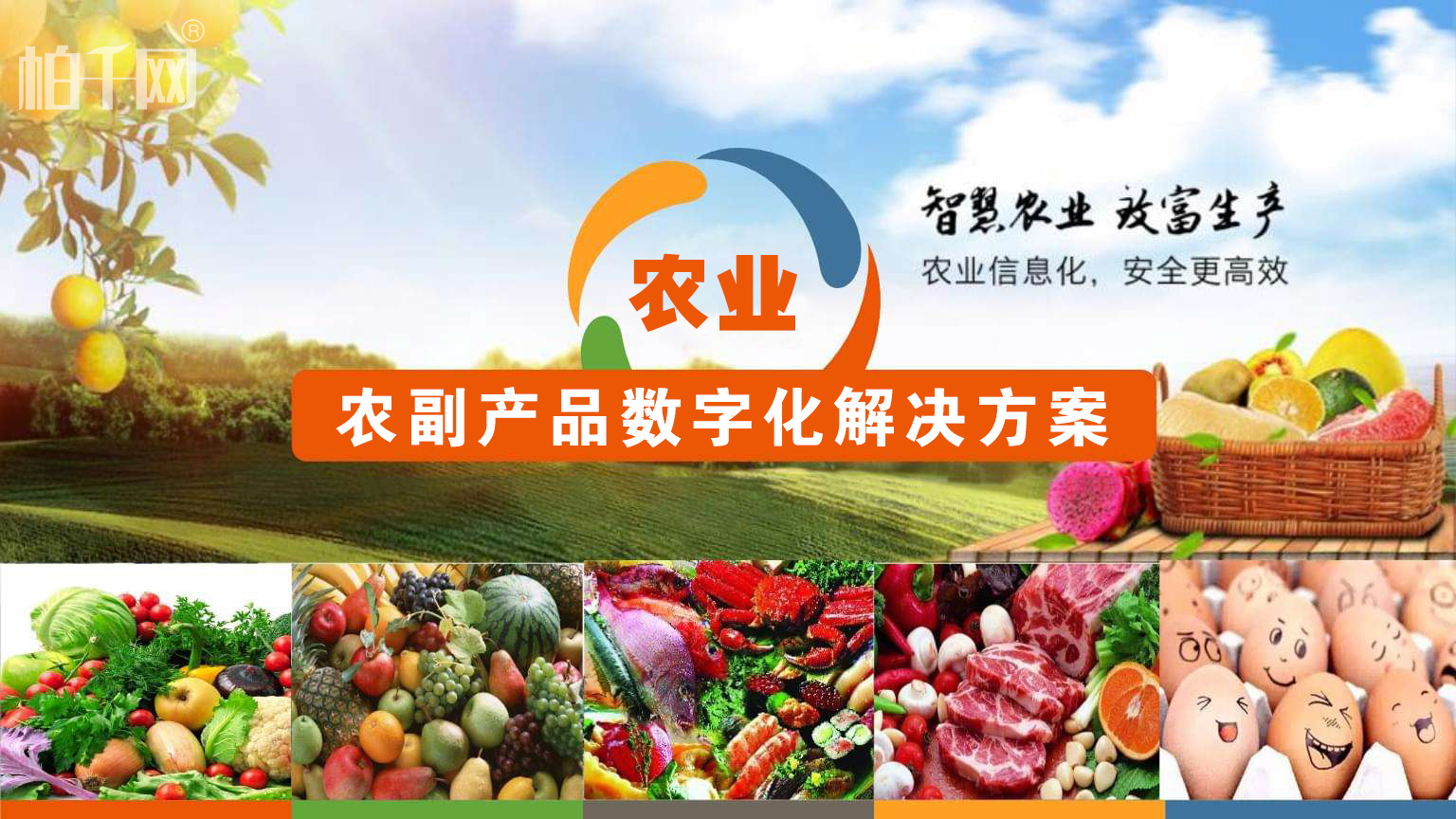 土特产批发市场：品味家乡的独特魅力