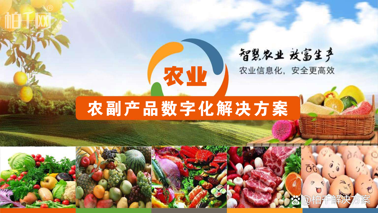 土特产批发市场:品味家乡的独特魅力