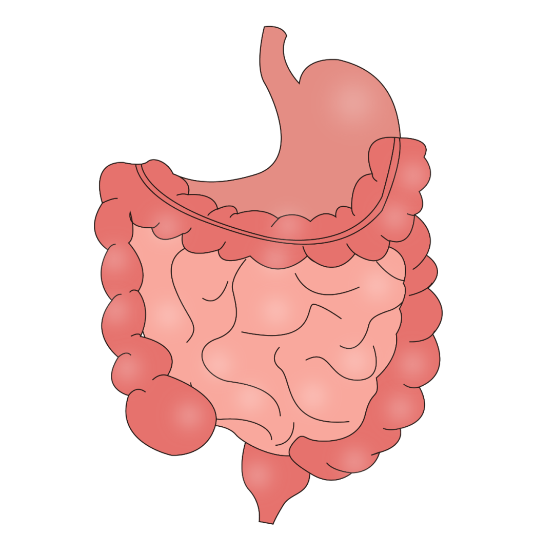 肠道疾病卡通图片