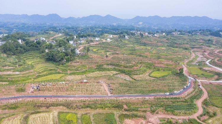 9月10日,无人机镜头下的渝北区大湾镇金凤村的现代水果产业基地.