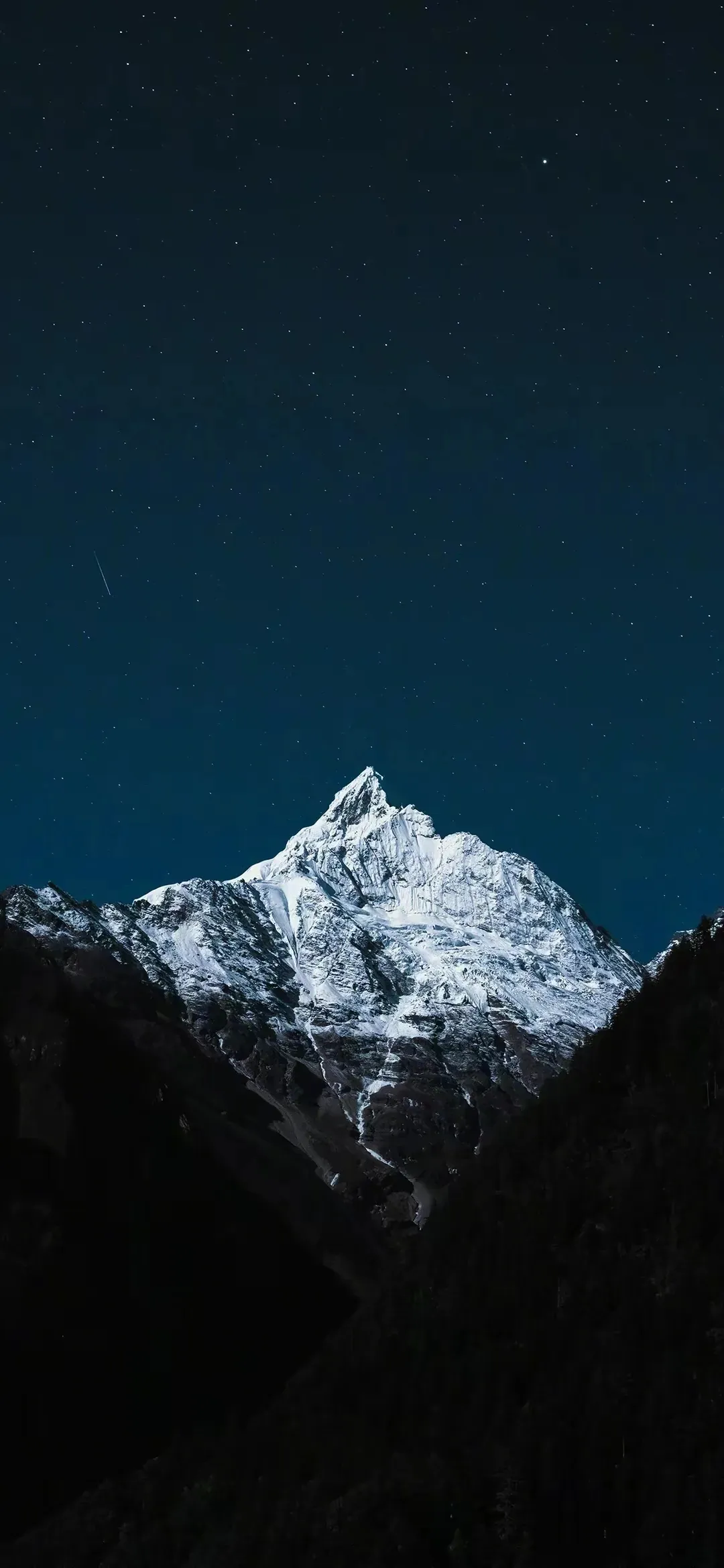 1080_2340竖版 竖屏