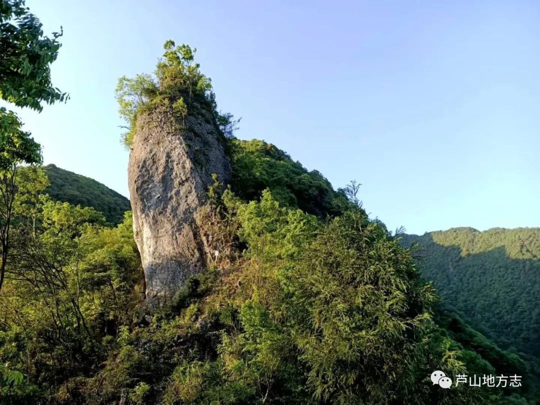 「芦山地方志-风景诗」骆良琮‖大川风情(组诗)