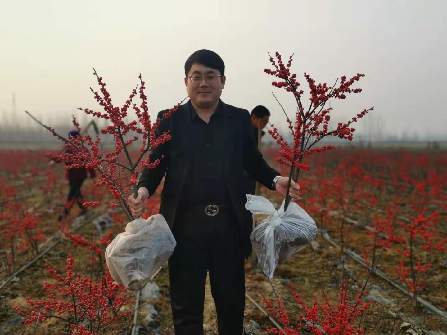 落地生根,开花结果图片