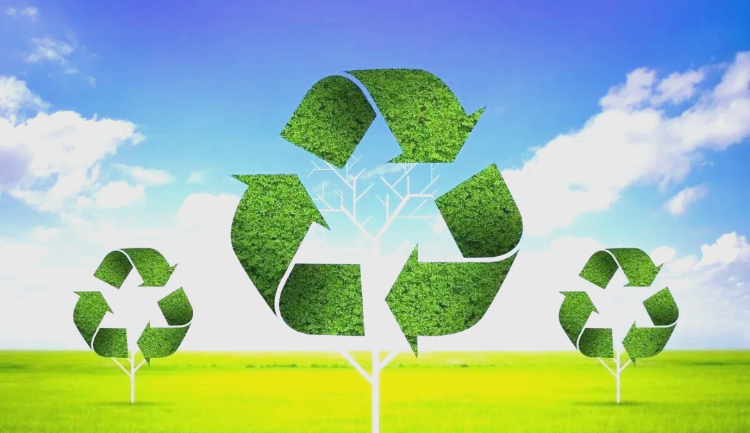 中海炼化持续推动绿色低碳转型,探索节能降碳新路径