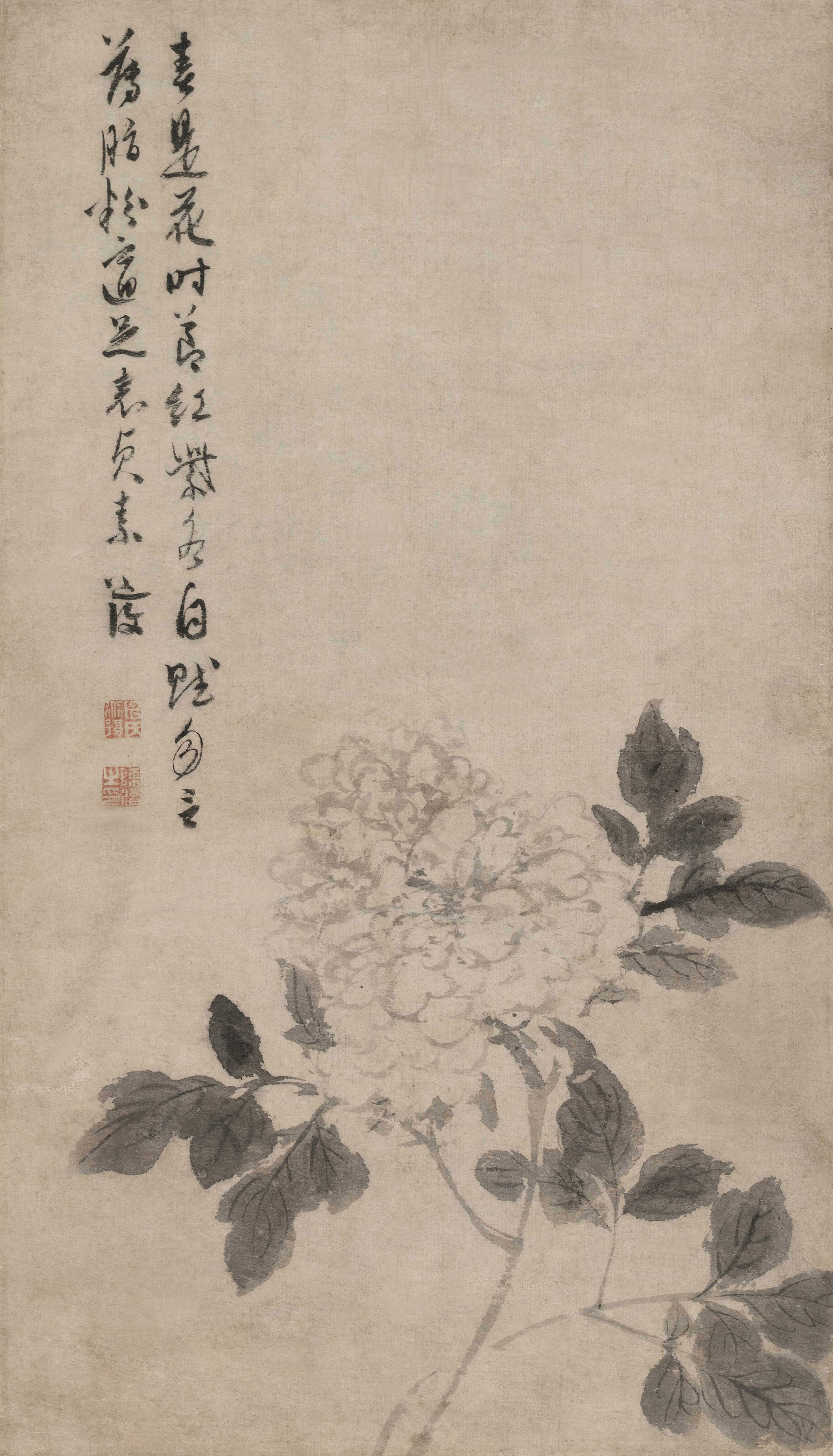 重磅预展不容错过